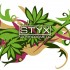 STYX